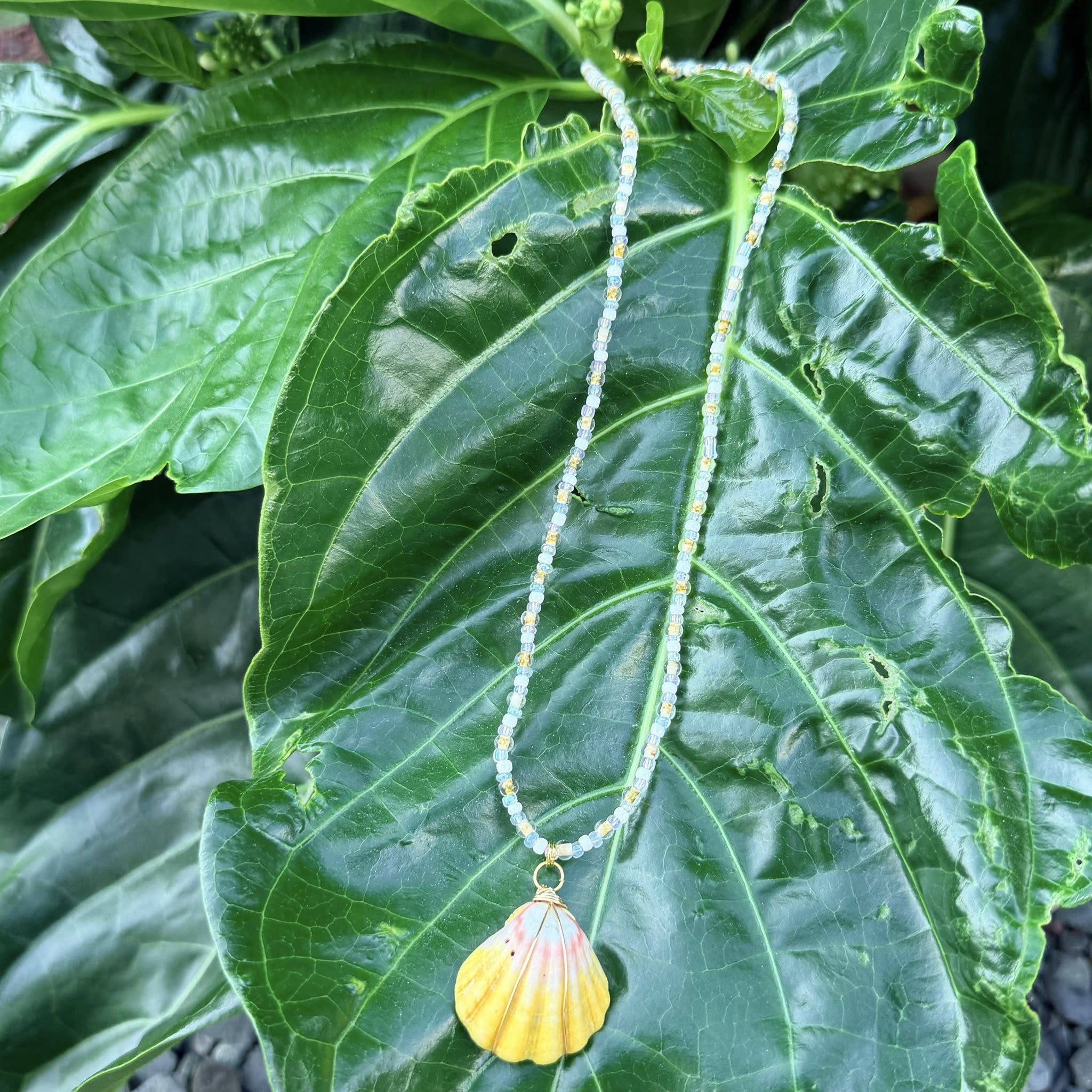 Island Sunrise Shell Necklace