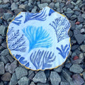 Coral Reef | Scallop Shell Trinket Dish