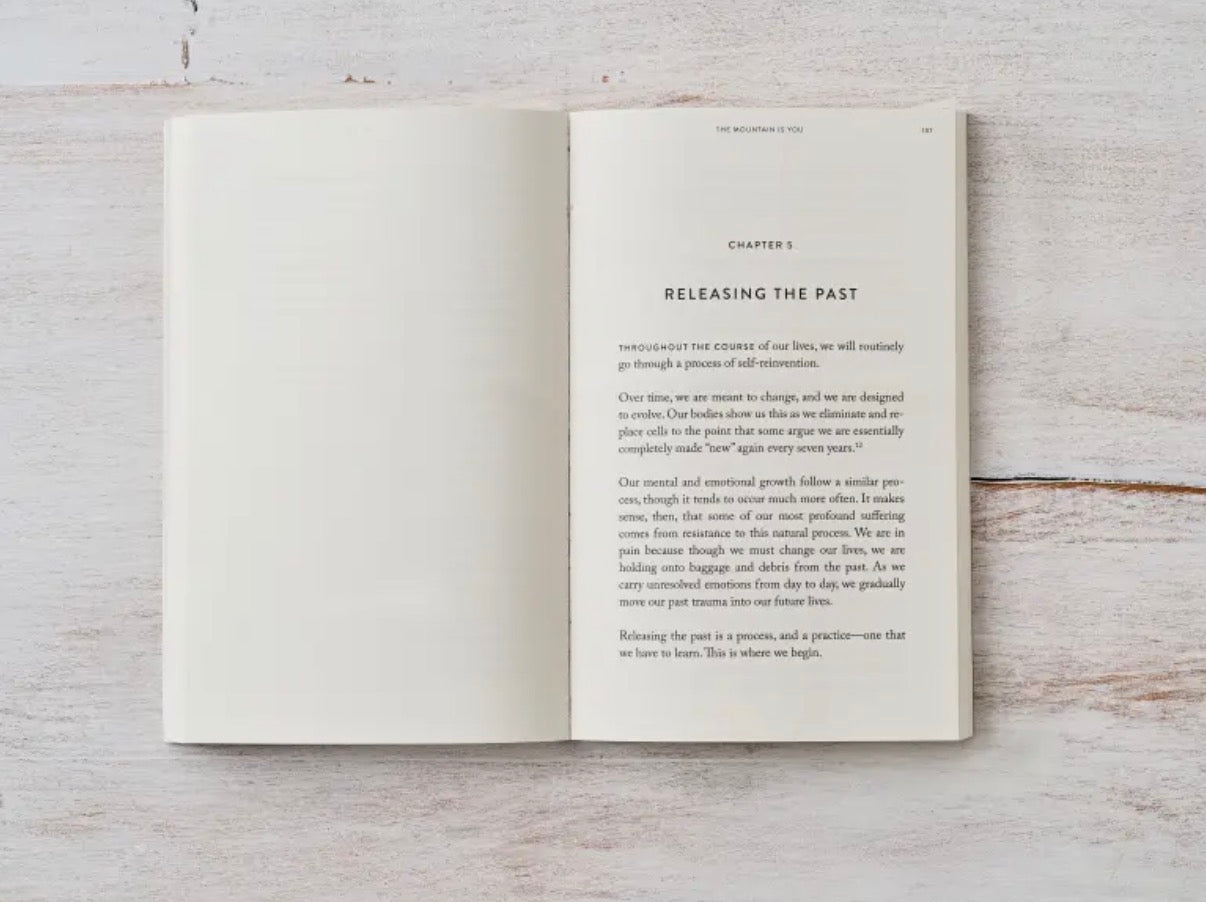 The Mountain Is You • Self Love Book